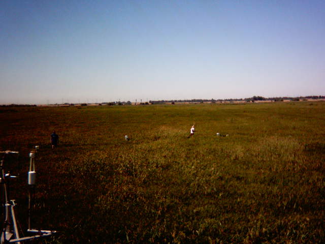 UC Davis in the field.