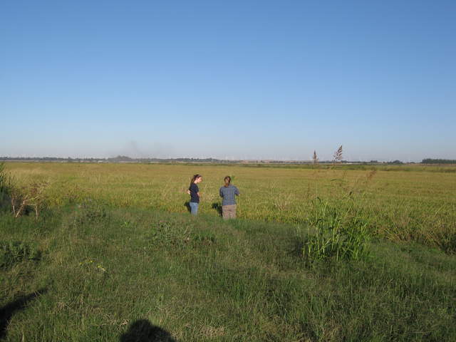 Jaclyn and Emily doing fieldwork at the rice site