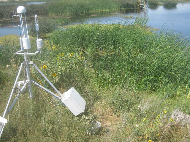 Work at Tule tower