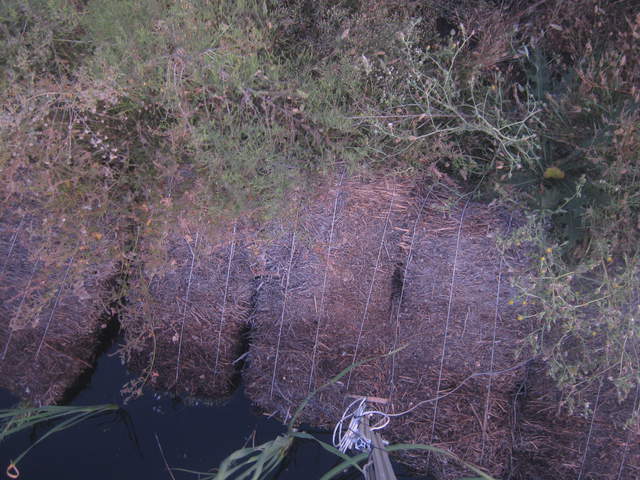 Bird bent camera down again.