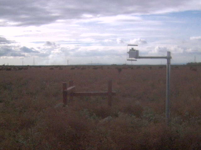 Nice clouds with cows.