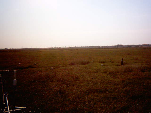 UC Davis in the field.