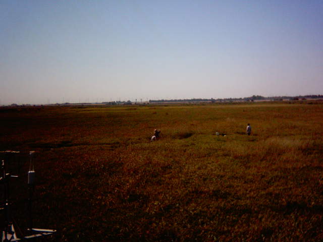 UC Davis in the field.