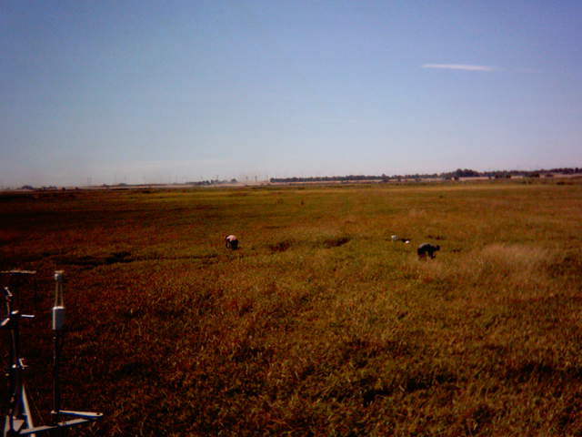 UC Davis in the field.