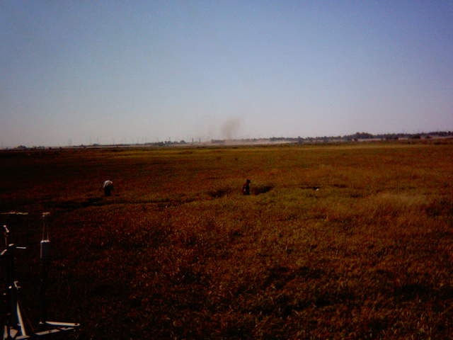 UC Davis in the field.