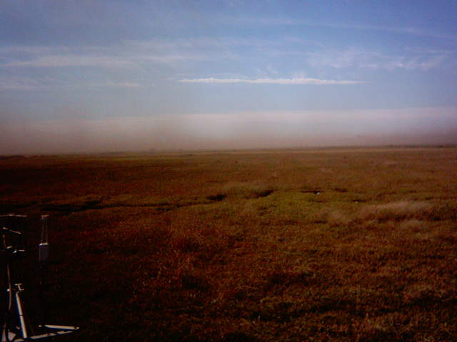 Dust to the west.