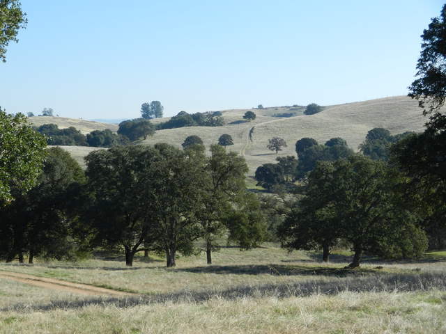 View of trees and hills at Vaira