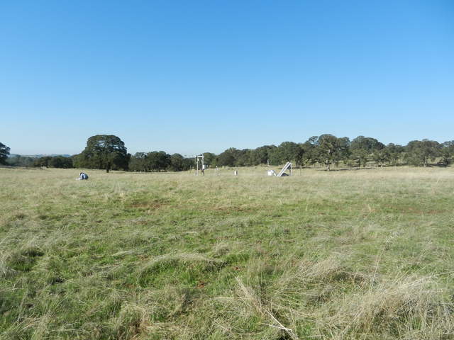 New green grass sprouting at Vaira