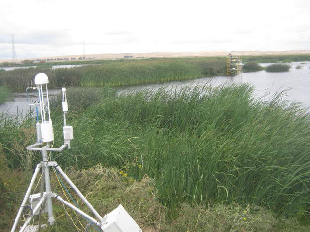 Work at Tule Tower.