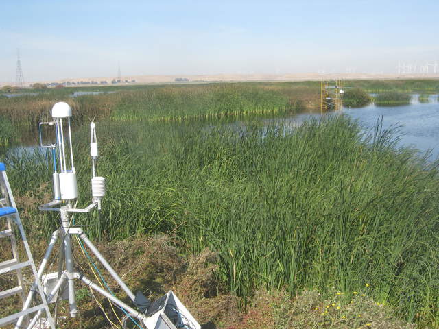 Site visit.