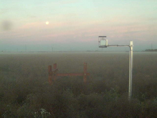 Morning moon.