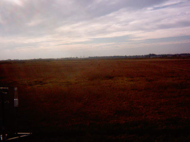 Harvest.