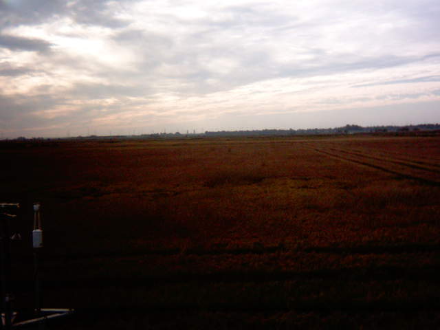 Harvest.