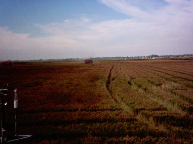Harvest.