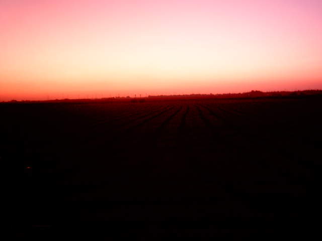 Nice sunset.