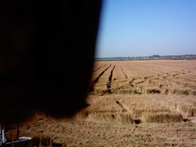 Bird on camera.