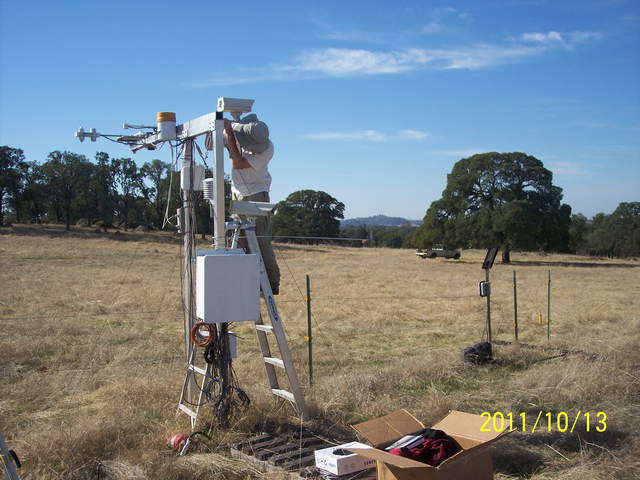 Joe installing phenocam at Vaira