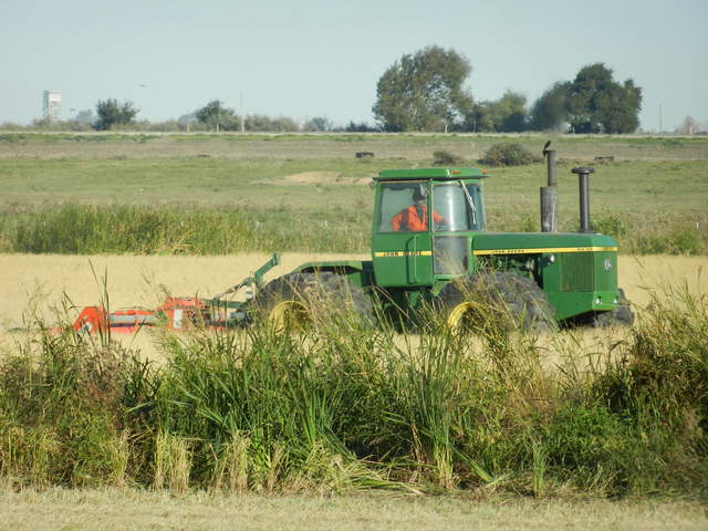 Mowing north check of Field 1