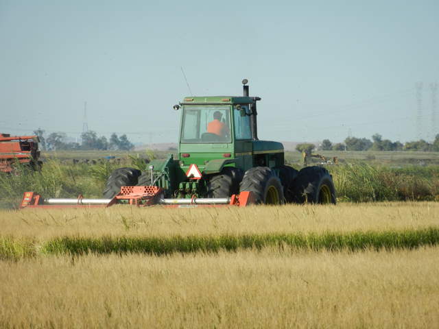 Mowing north check of Field 1