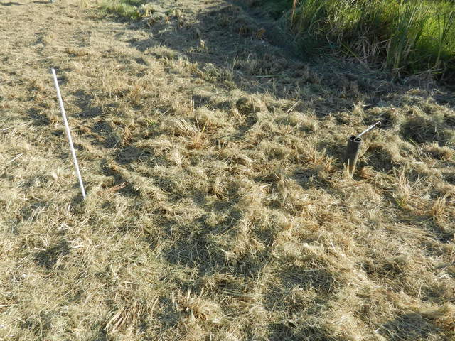 SoilT profile, well, soil moisture, soil heat flux (not visible)