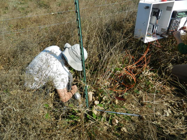 Joe installing soil CO2 probes