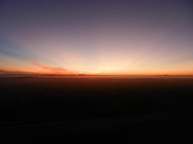 Tule fog at sunrise in the delta