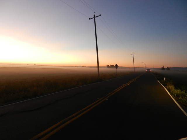 Tule fog at sunrise in the delta
