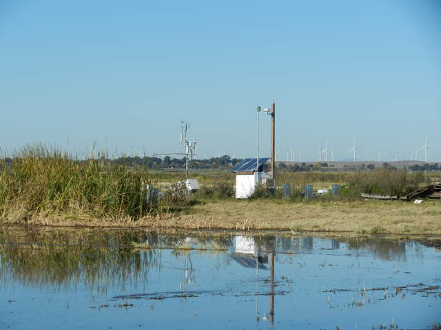 View of the rice site flooded after harvest