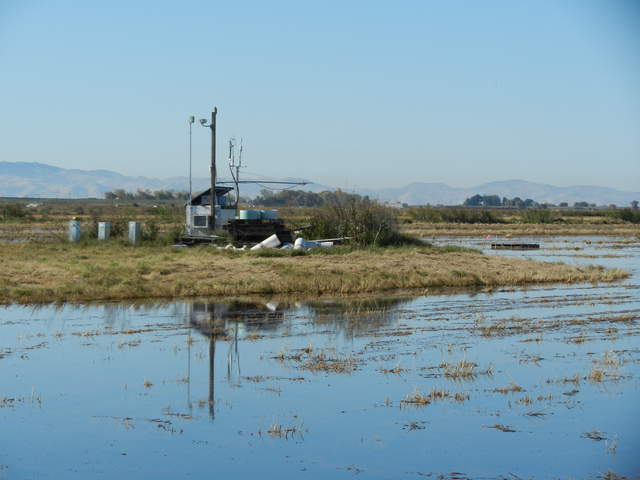 View of the rice site flooded after harvest