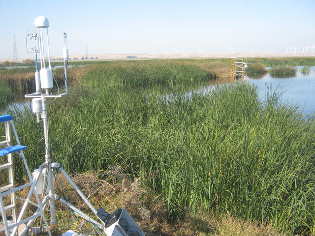 Site Visit