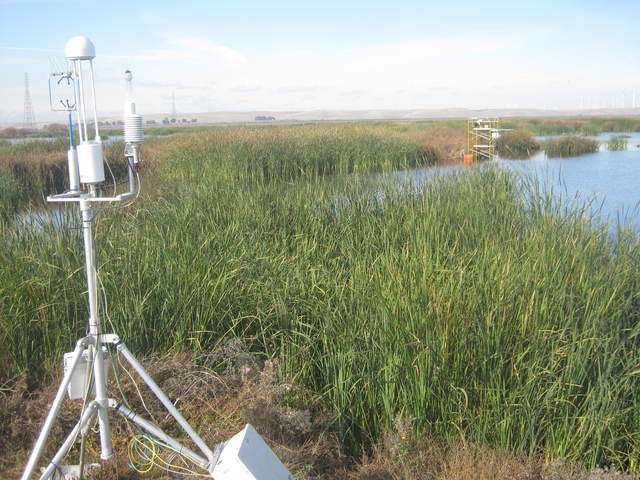 Work on the Tule Tower