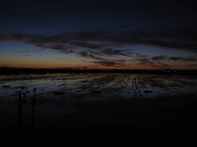 Nice Sunset.