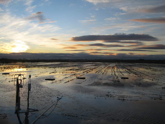 Nice Sunset.