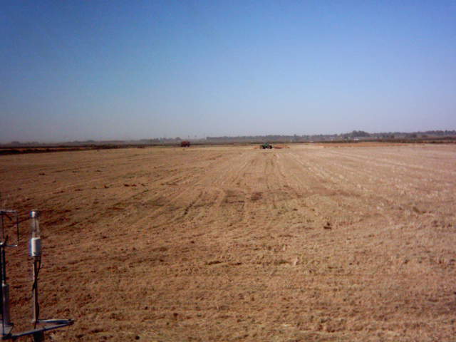 Chopping the straw.