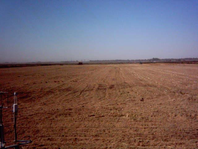 Chopping the straw.