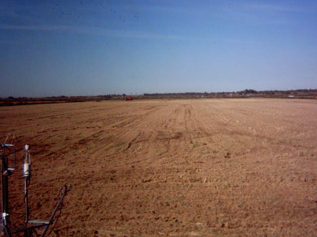 Chopping the straw.