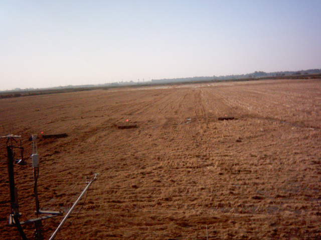 Field flooding 1
