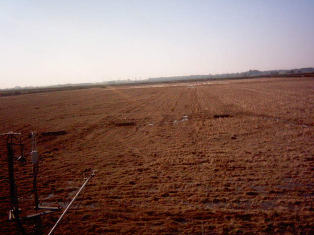 Field flooding 2