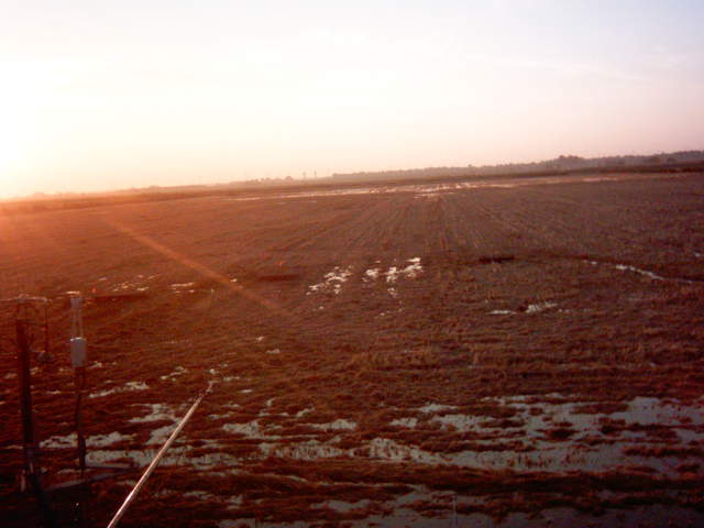Field flooding 5