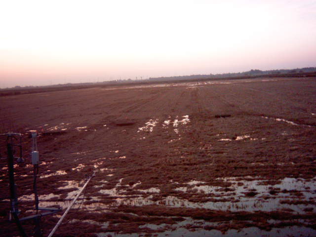 Field flooding 6
