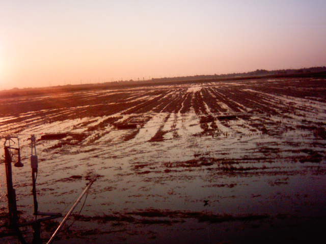 Field flooding 20