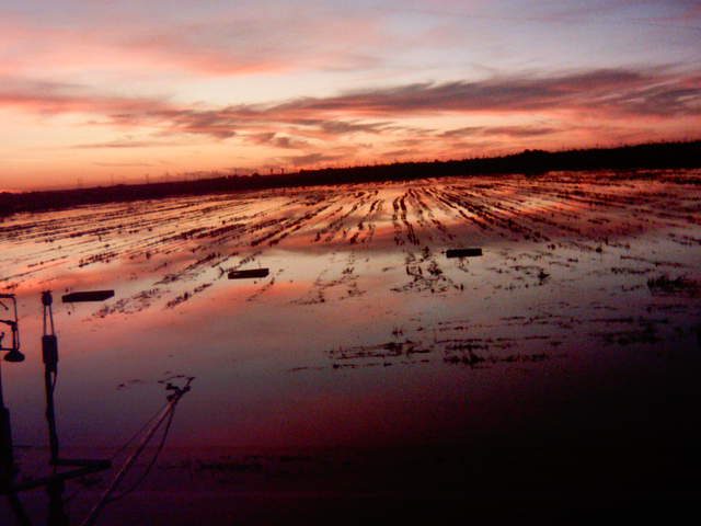Nice Sunset