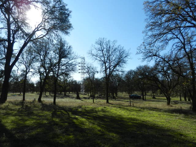 Green grass at Tonzi with the tower in the background
