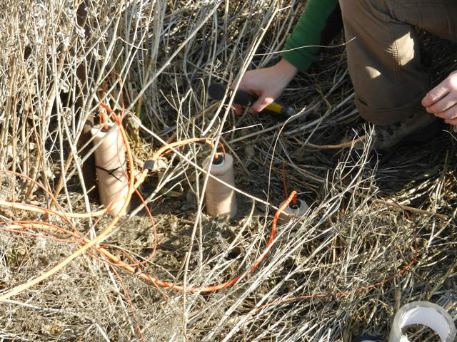 Newly installed Vaisala soil CO2 sensors