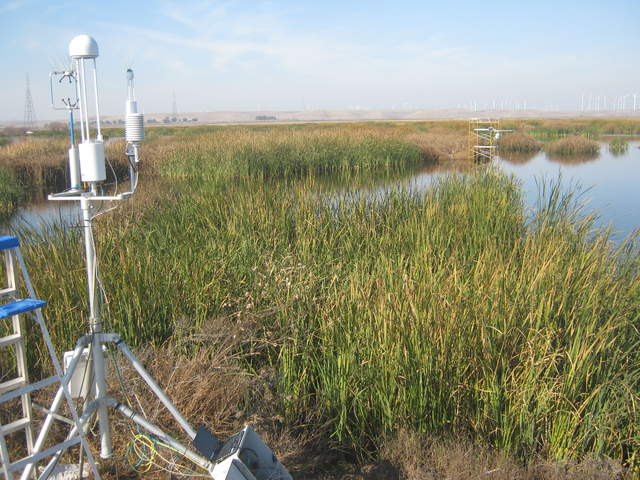 Site visit