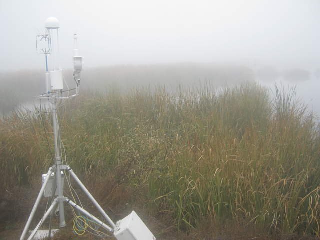 Heavy fog