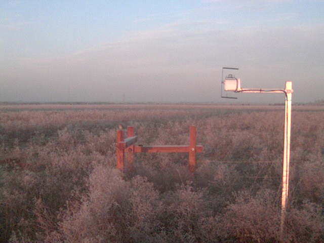 Frosty morning