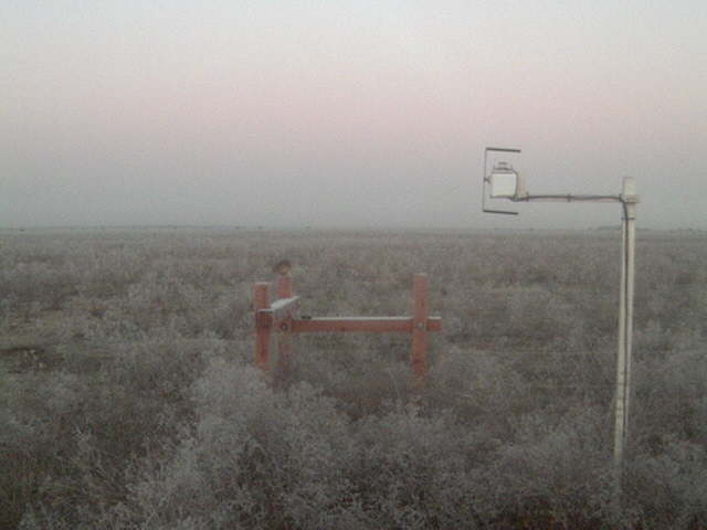 Frosty morning