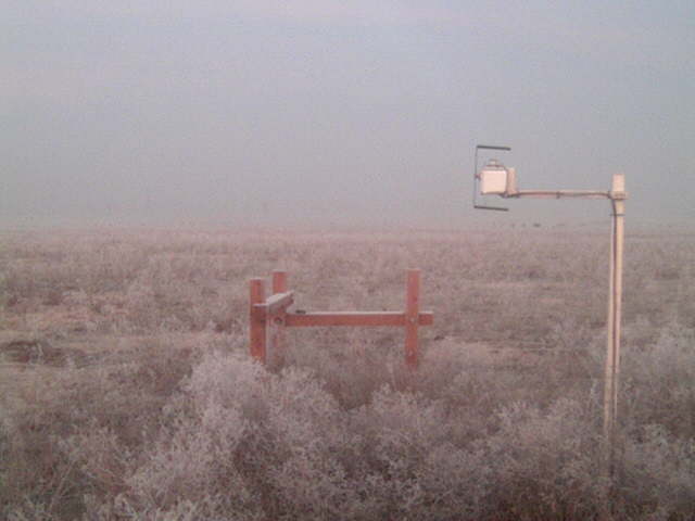 Heavy frost