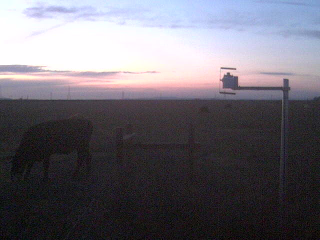 Nice sunset